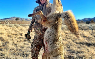 Calling All Coyotes: Tips for Beginners