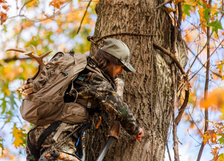 What to Choose: Treestands vs. Blinds