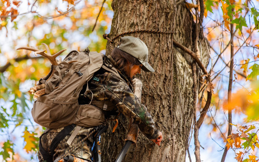 What to Choose: Treestands vs. Blinds