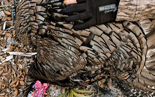 Tips for Scouting for Turkeys