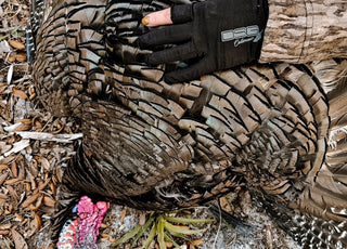 Tips for Scouting for Turkeys