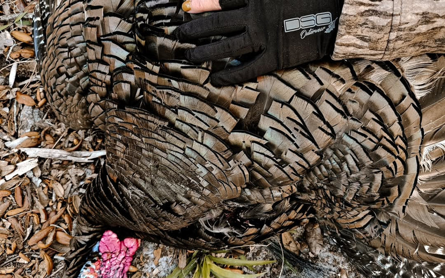 Tips for Scouting for Turkeys