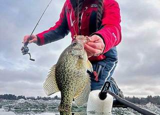 Our Favorite Fish Species to Pull Through the Ice